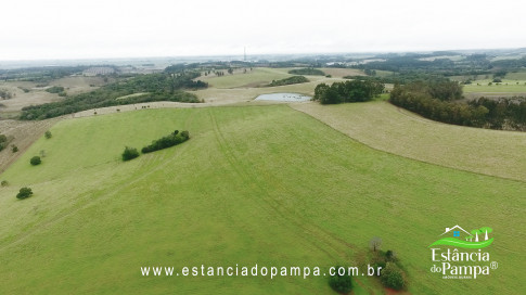 DA VARZEA ATE O GADO NA COXILHA.00_02_21_12.Quadro026_11bb2aa6f706aa32a486e3753d8eb4b10d65e55a.jpg